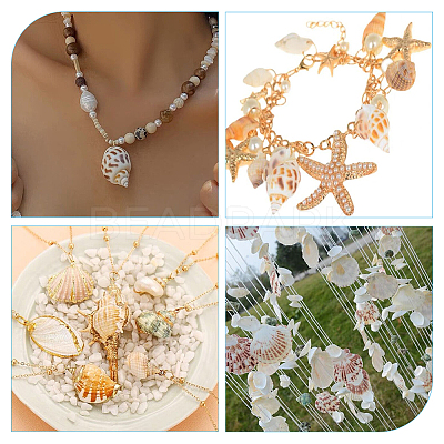 5 Styles Shell Beads SHEL-FH0001-22-1