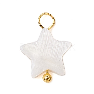 Natural Freshwater Shell Pendants PALLOY-JF02416-02-1