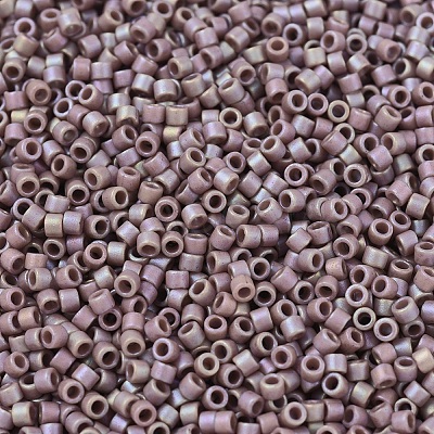 MIYUKI Delica Beads X-SEED-J020-DB2321-1