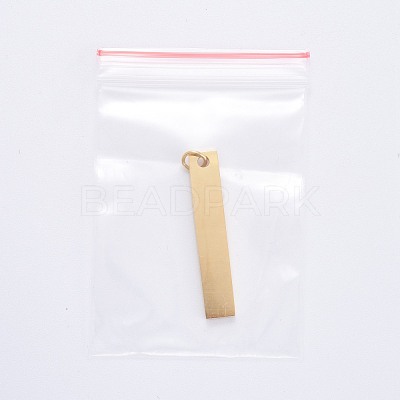 304 Stainless Steel Pendants STAS-S105-T605D-2-1