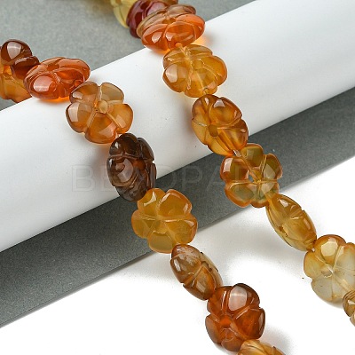 Natural Red Agate Beads Strands G-H023-B21-01-1