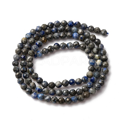 Natural Lapis Lazuli Beads Strands G-L629-B01-3mm-04-1