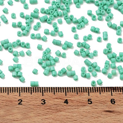 Baking Paint Glass Seed Beads X-SEED-S042-05B-60-1