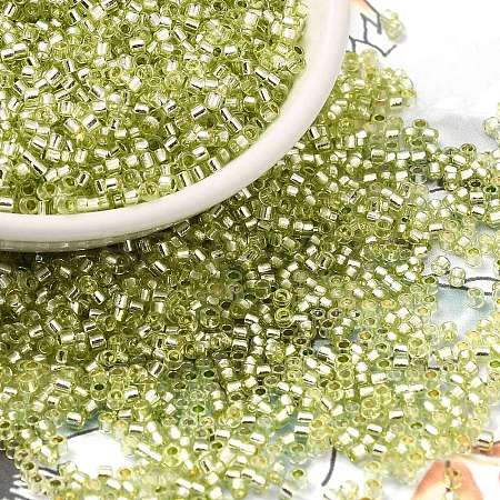 Glass Seed Beads X-SEED-S042-04B-24-1