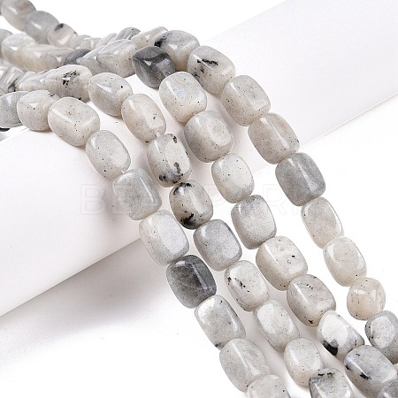 Natural Labradorite Beads Strands G-T138-85-1