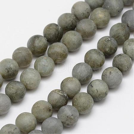 Natural Labradorite Frosted Bead Strands G-O155-04A-8mm-1