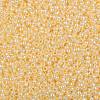 TOHO 8/0 Round Beads X-SEED-TR08-0903-2