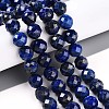 Natural Lapis Lazuli Beads Strands G-S345-10mm-24-2