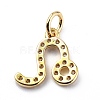 Brass Micro Pave Cubic Zirconia Charms ZIRC-F131-16G-06-2