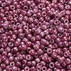 TOHO 6/0 Round Beads X-SEED-TR06-1202-4