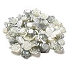 Opaque Acrylic Beads OACR-H039-03A-1