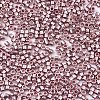 FGB 11/0 Grade A Glass Seed Beads SEED-S030-1222-2