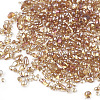 Plated Glass Seed Beads SEED-S016-01-3