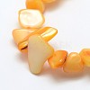 Dyed Natural Freshwater Shell Beads Strands SHEL-J002-05-3