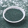 MIYUKI Round Rocailles Beads SEED-JP0008-RR4506-2
