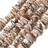 Natural Freshwater Shell Beads Strands X-SHEL-A006-05-1