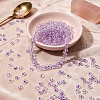 45G Transparent Baking Paint Glass Seed Beads SEED-SZ0001-028H-4