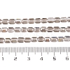 Electroplate Glass Beads Strands EGLA-D031-01X-3