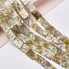 Drawbench Style Natural Freshwater Shell Beads Strands SHEL-F003-02-2