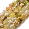 Faceted Natural Fire Crackle Agate Beads Strands G-F447-12mm-H01-2
