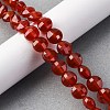 Natural Carnelian(Dyed & Heated) Beads Strands G-C179-A29-03-1