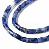 Natural Blue Spot Jasper Beads Strands G-S366-078-3