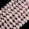 Natural Rose Quartz Beads Strands G-L642-J04-01-2