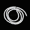 Natural Cultured Freshwater Shell Beads Strands X-BSHE-H109-03A-3