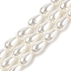 Electroplate Shell Pearl Beads Strands BSHE-G010-4x7mm-01-1