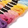 12 Skeins 12 Colors 6-Ply Polyester Embroidery Floss OCOR-M009-01B-04-2