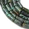 Natural African Turquoise(Jasper) Beads Strands G-B091-A25-01-4