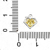 S925 Sterling Silver with Cubic Zirconia Charms STER-Q006-05A-S-3