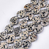 Natural Dalmatian Jasper Beads Strands G-S354-05-1