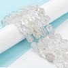 Natural Quartz Crystal Beads Strands G-C182-08-3