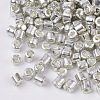 6/0 Two Cut Glass Seed Beads SEED-S033-03B-02-2
