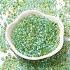 Transparent Glass Round Seed Beads SEED-B001-05A-10-2
