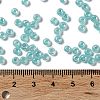 Glass Seed Beads SEED-H002-E-A1419-4