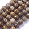 Natural Petrified Wood Beads Strands G-P430-16-D-2