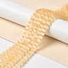 Natural Selenite Dyed Beads Strands G-P493-02F-2
