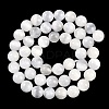 Natural Selenite Beads Strands G-G167-A02-01-3