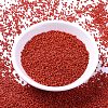 MIYUKI Delica Beads LS-X-SEED-J020-DB0795-2