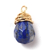 Natural Mixed Gemstone Wire Wrapped Pendants PALLOY-JF00527-2
