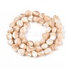 Natural Trochid Shell/Trochus Shell Beads Strands SSHEL-N040-13-2