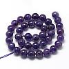 Natural Amethyst Beads Strands G-R446-8mm-21-2