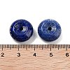 Natural Lapis Lazuli Beads G-A222-01D-3