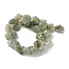 Natural Labradorite Beads Strands G-H023-B19-01-3