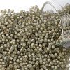 TOHO Round Seed Beads SEED-JPTR11-0369FM-1