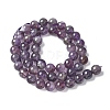 Natural Amethyst Beads Strands G-M445-8MM-01B-4
