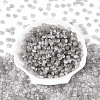Glass Seed Beads SEED-T007-17A-2