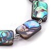 Natural Abalone Shell/Paua Shell Beads Bracelets BJEW-JB03993-2